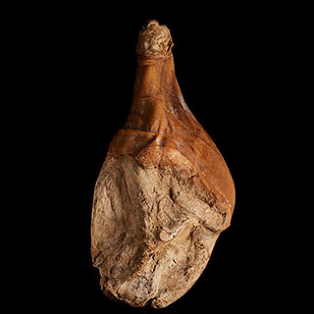 kumpiak-podlaski